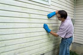 Professional Siding in Willcox, AZ